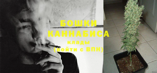 хмурый Нея