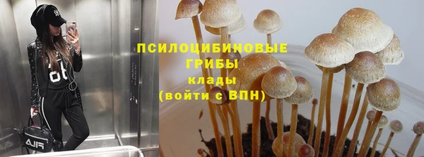 Альфа ПВП Нефтекумск