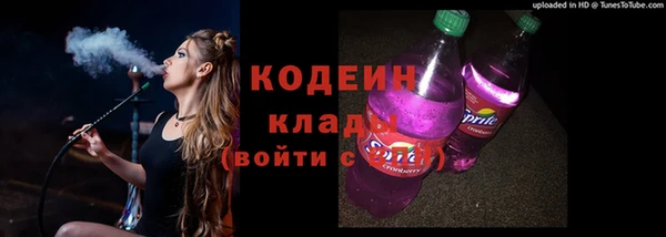 хмурый Нея