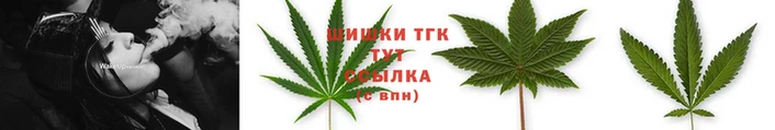 прущие грибы Нефтегорск