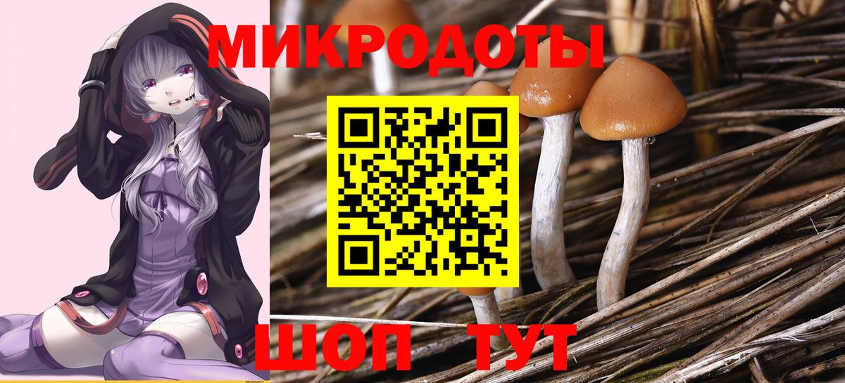 Галлюциногенные грибы Psilocybine cubensis Переславль-Залесский