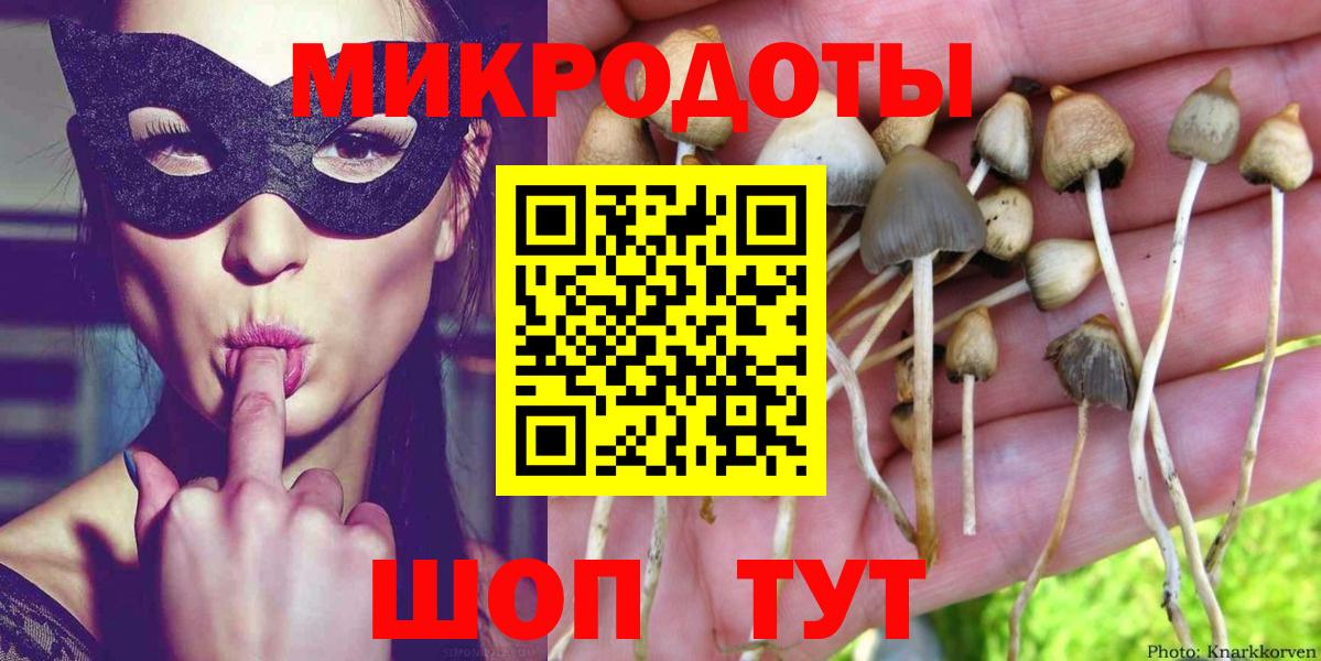 Лсд 25 Переславль-Залесский