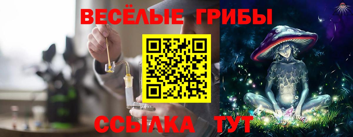Галлюциногенные грибы Magic Shrooms  Вход с VPN  Переславль-Залесский  Галлюциногенные грибы MAGIC MUSHROOMS 